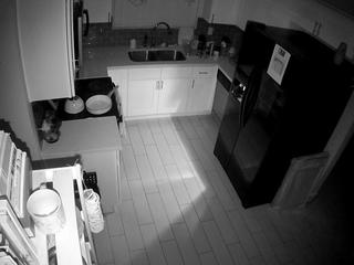 voyeurcam-missoliviablack-01