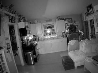 voyeurcam-bridgetleewalters-01