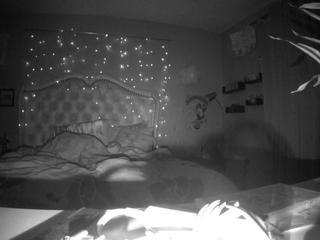 voyeurcam-bobbidylan-01